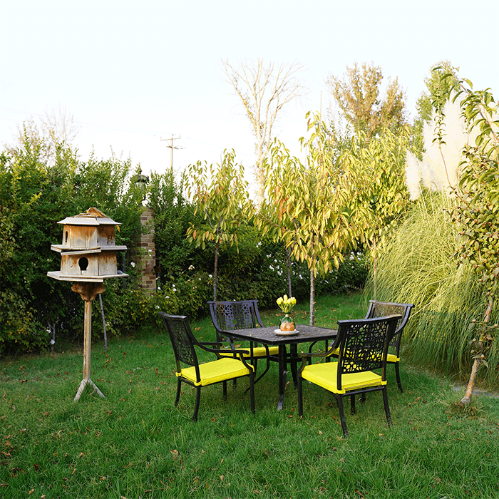 schondor-pics-Artboard-3